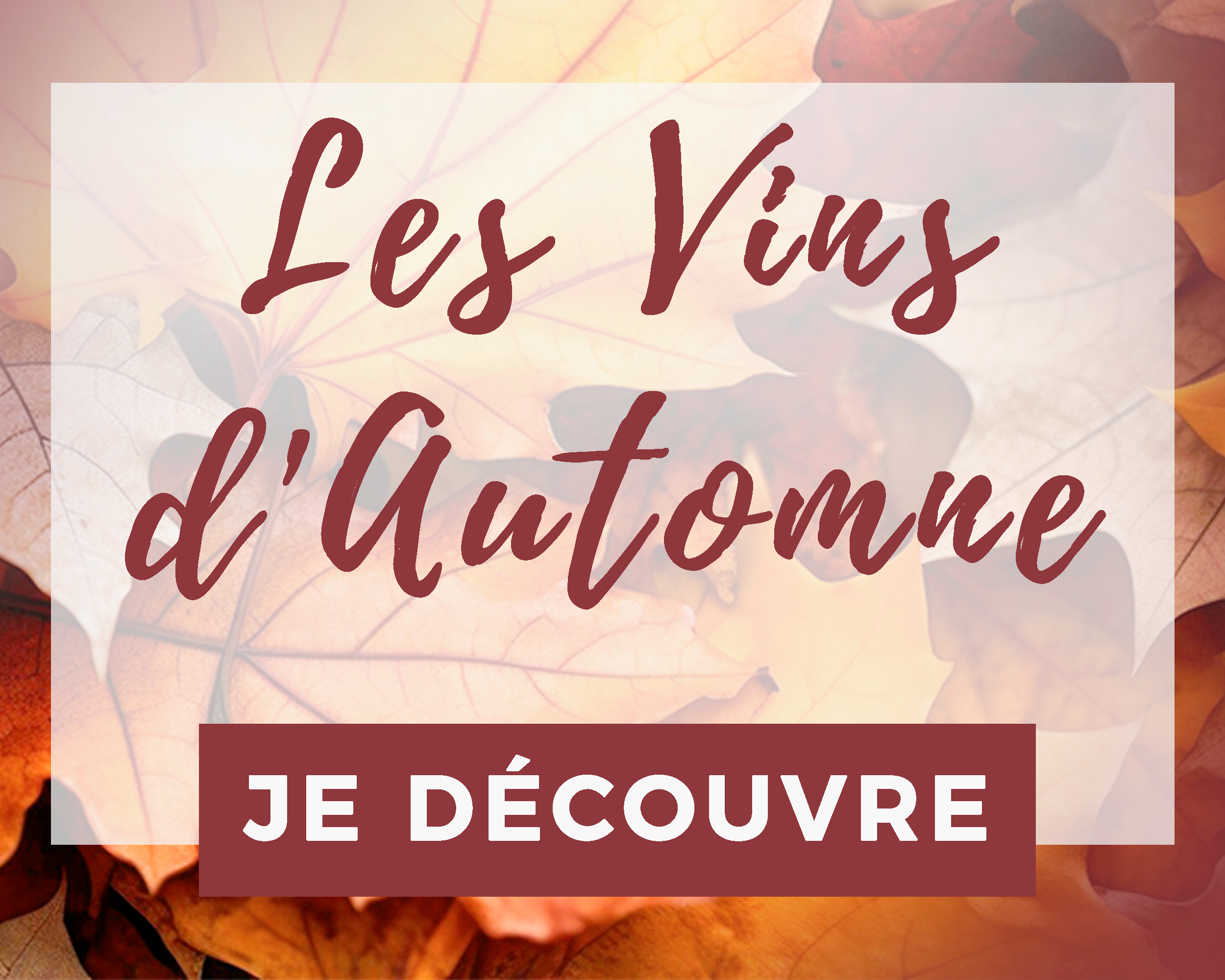 Vins d'automne